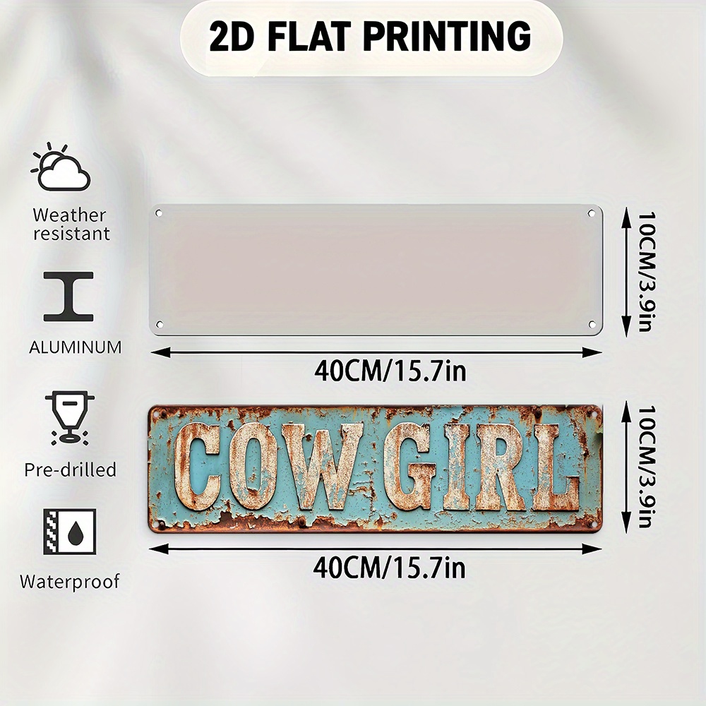 2D Metal Cowgirl Wall Art - Vi - Brass Weight Plate 리뷰 및 가격