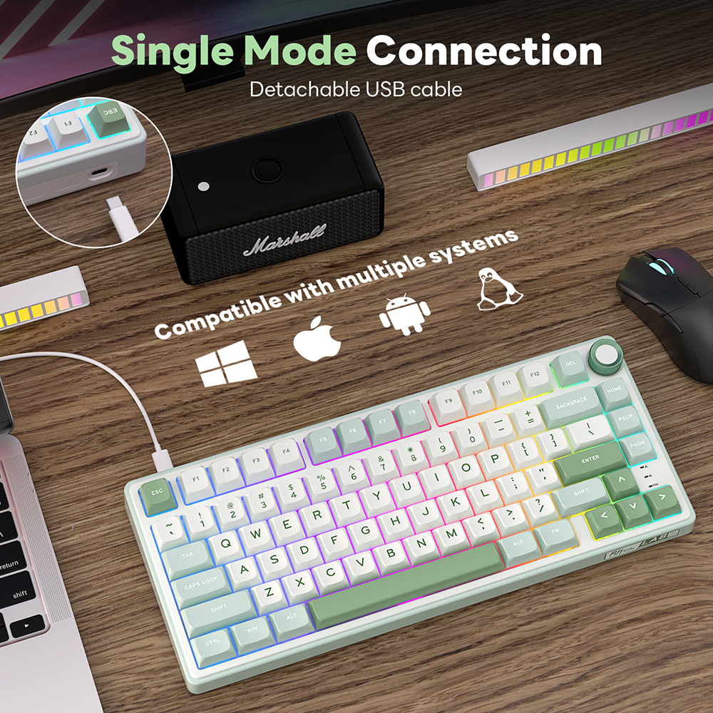 RK Royal Kludge R75 Gasket Wir - Gaming Keyboard Thocky 리뷰 및 가격