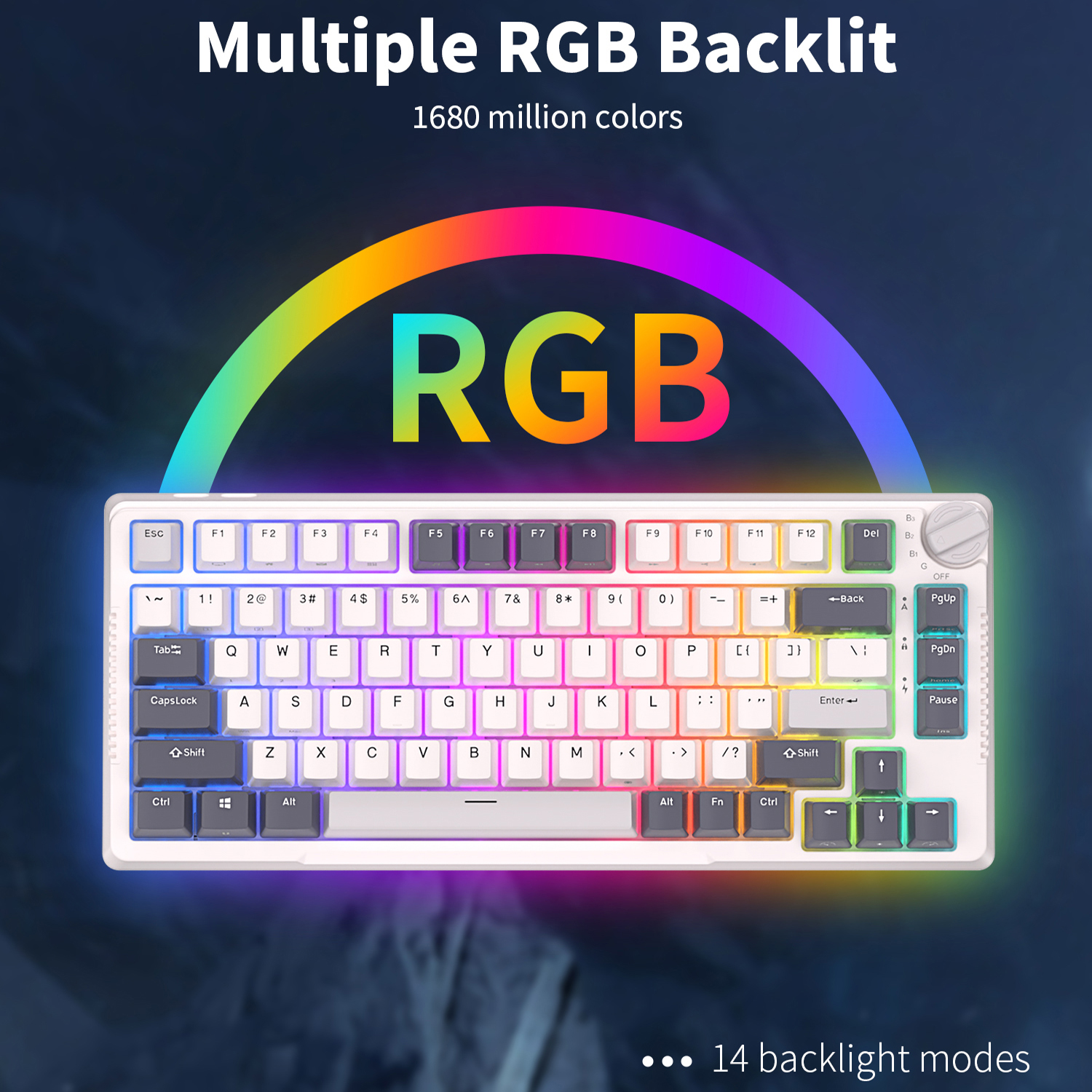 RK H81 Royal Kludge Gasket Str - Gaming Keyboard Mobile 리뷰 및 가격