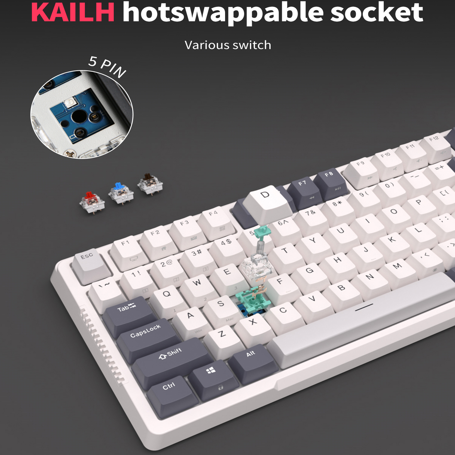 RK H81 Royal Kludge Gasket Str - Gaming Keyboard Mobile 리뷰 및 가격
